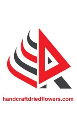 logo - Copy - Copy